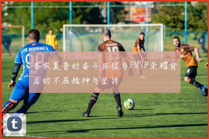 香农夏普的奋斗历程与FMVP荣耀背后的不屈精神与坚持