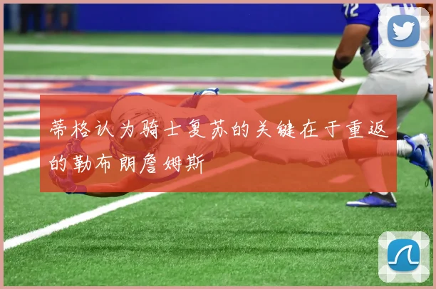 蒂格认为骑士复苏的关键在于重返的勒布朗詹姆斯