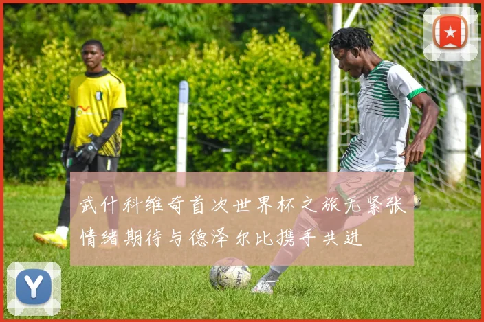 武什科维奇首次世界杯之旅无紧张情绪期待与德泽尔比携手共进
