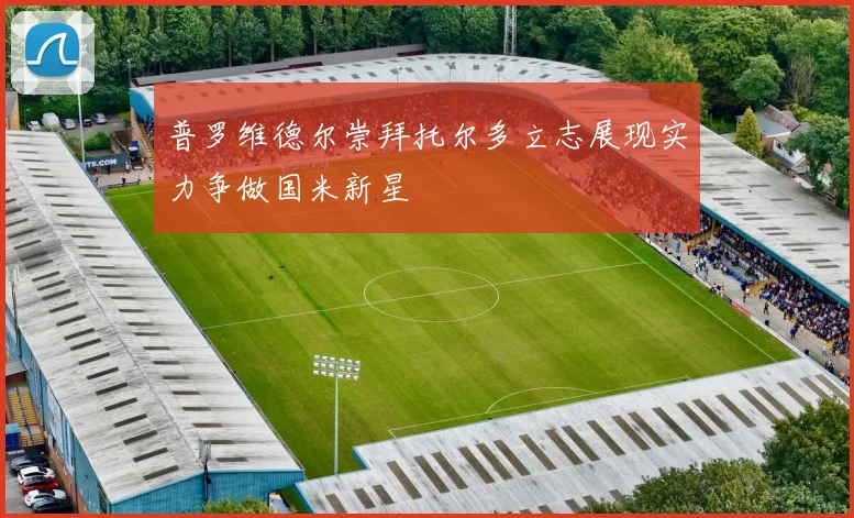 普罗维德尔崇拜托尔多立志展现实力争做国米新星