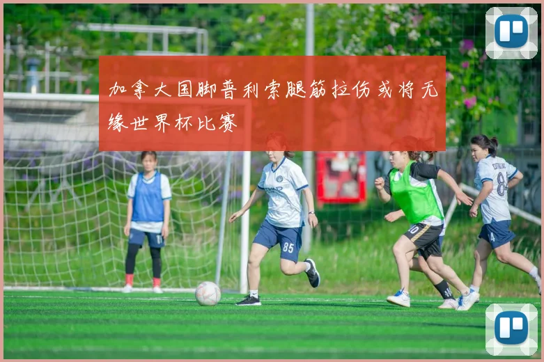 加拿大国脚普利索腿筋拉伤或将无缘世界杯比赛