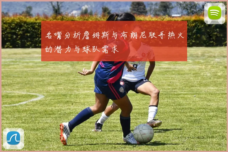 名嘴分析詹姆斯与布朗尼联手热火的潜力与球队需求